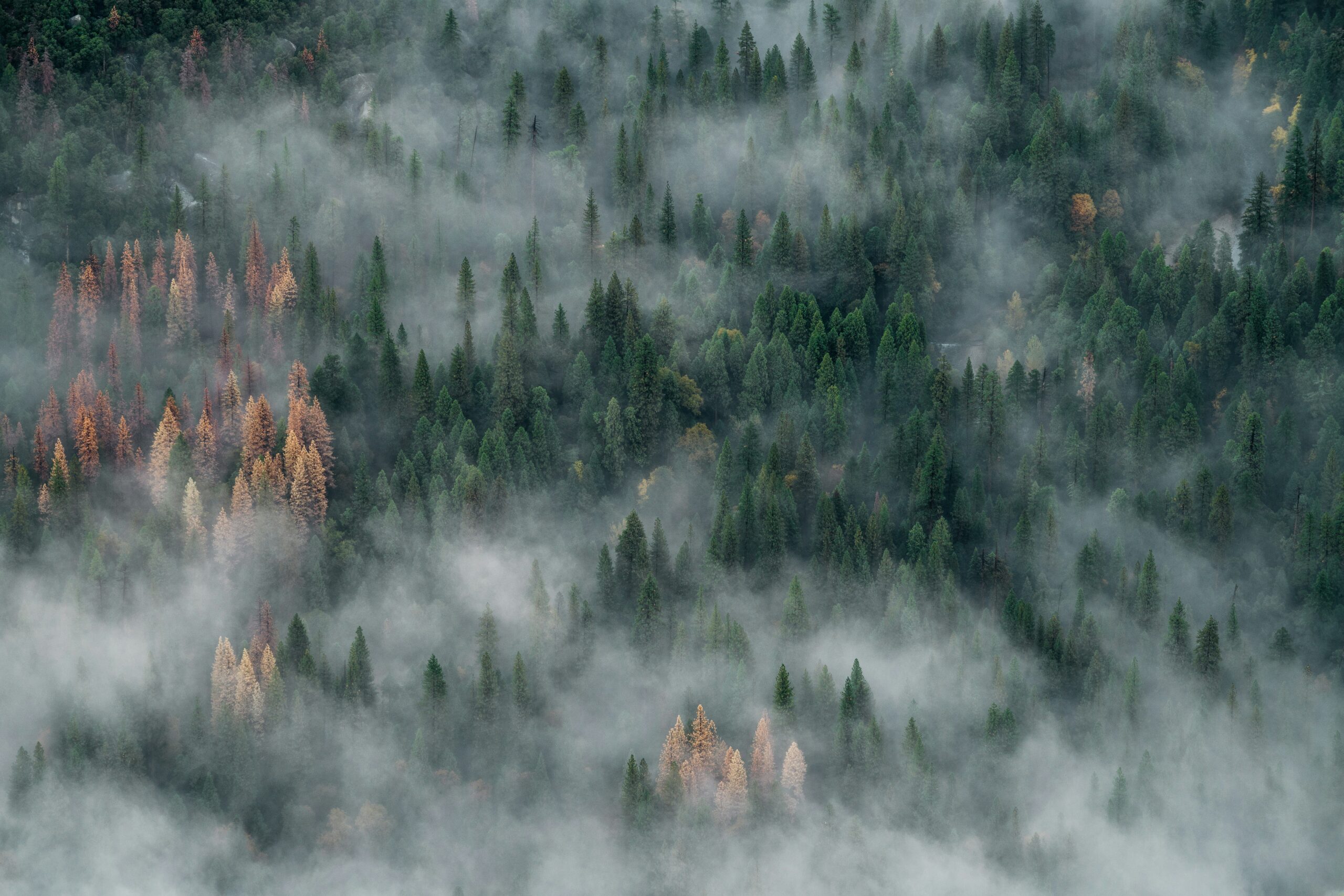 View of fog moving through the Half-Dome in Yosemite National Park, California.